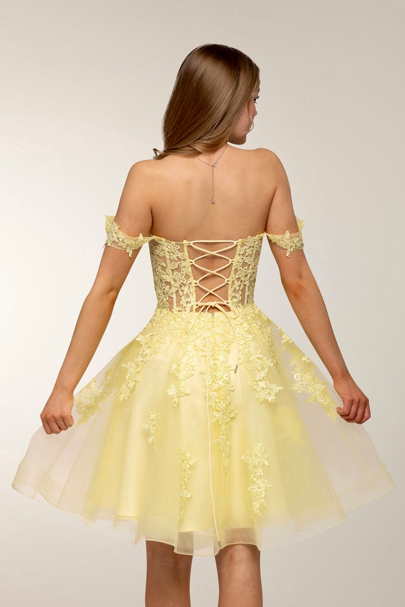 Upea keltainen juhlamekko tylli- ja pitsiyläosalla, takaa.