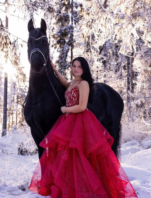 VANHOJENTANSSIMEKKO U4902P-STARLITE DARK RED